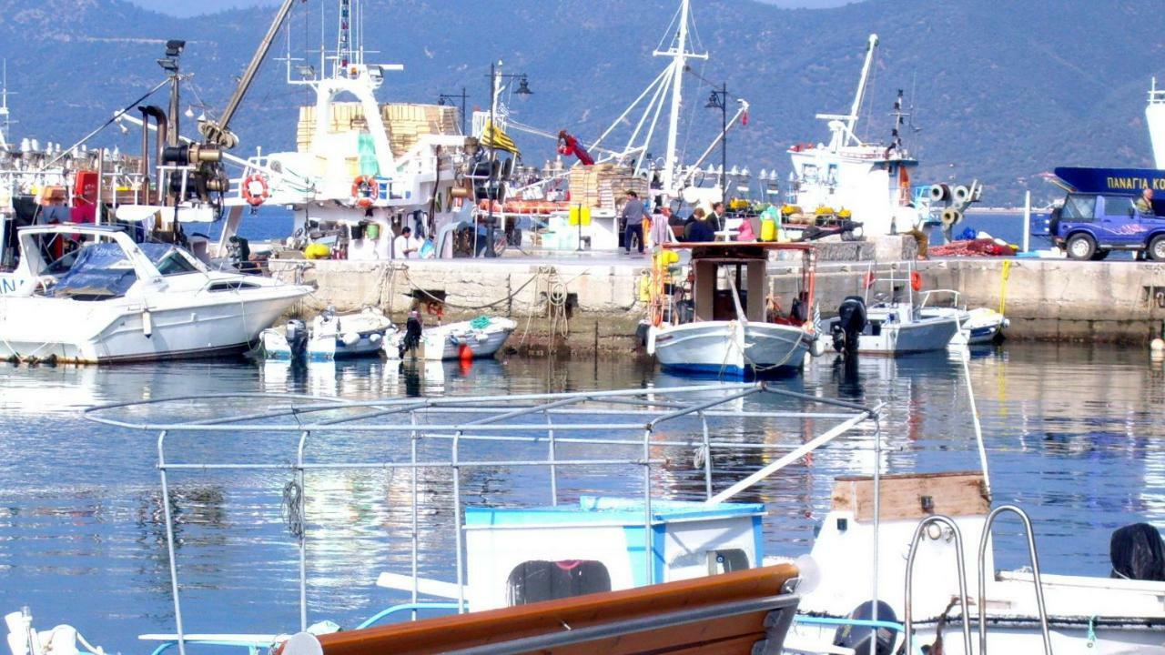 Ritsoni Studios Αιδηψός Εξωτερικό φωτογραφία